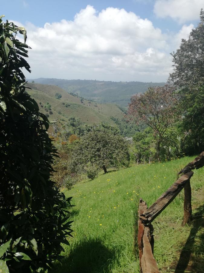 Ecorefugio Las Mirlas Salento Exteriör bild