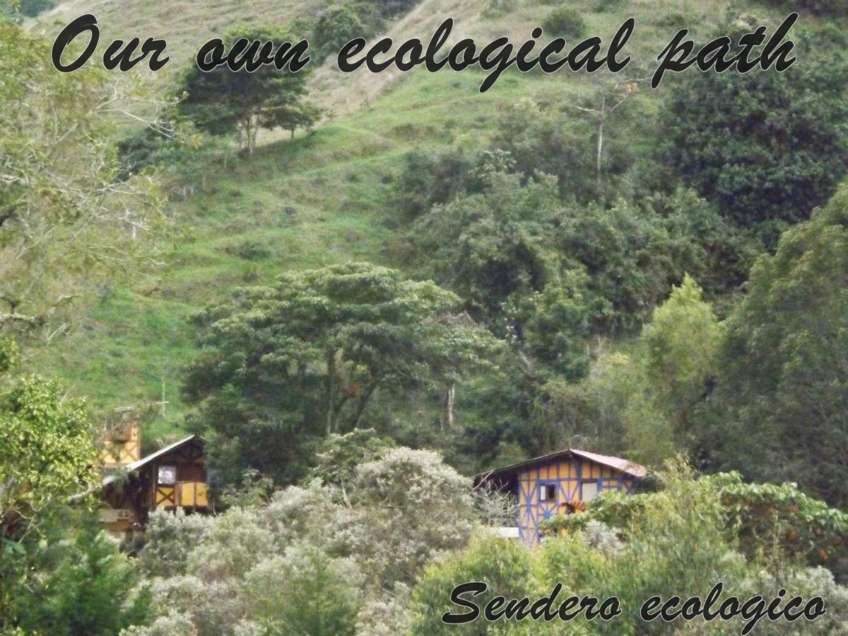 Ecorefugio Las Mirlas Salento Exteriör bild
